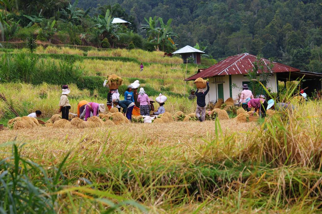 Melanting Cottages Munduk  Ngoại thất bức ảnh