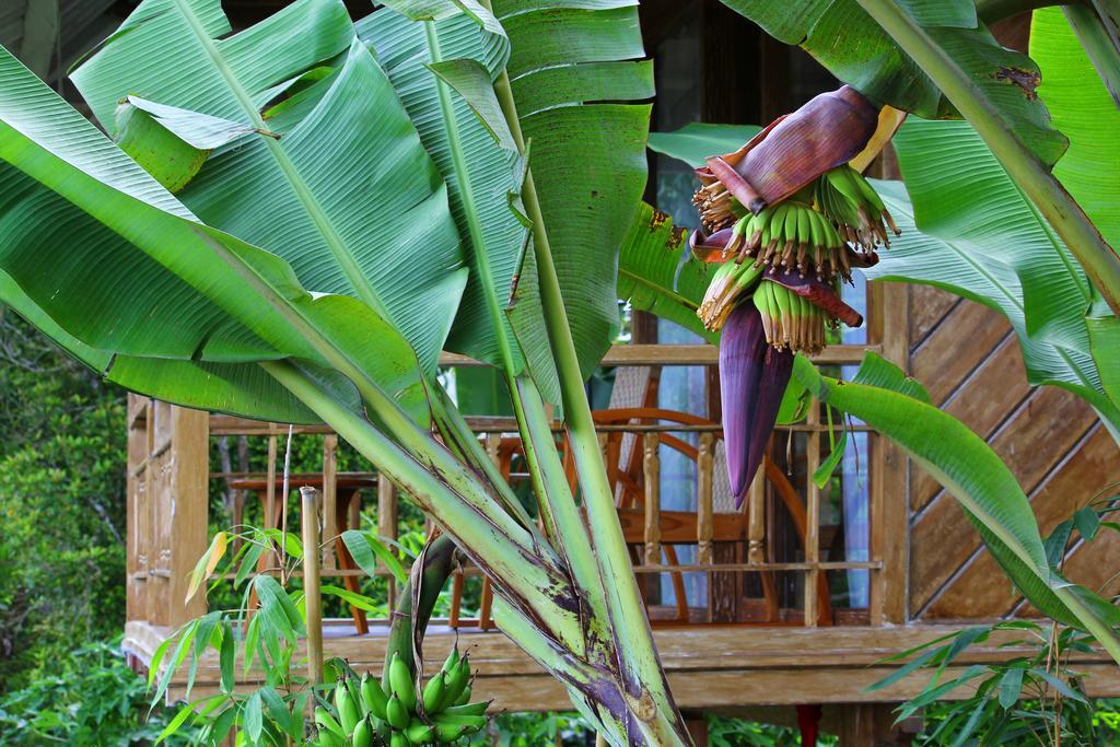 Melanting Cottages Munduk  Ngoại thất bức ảnh