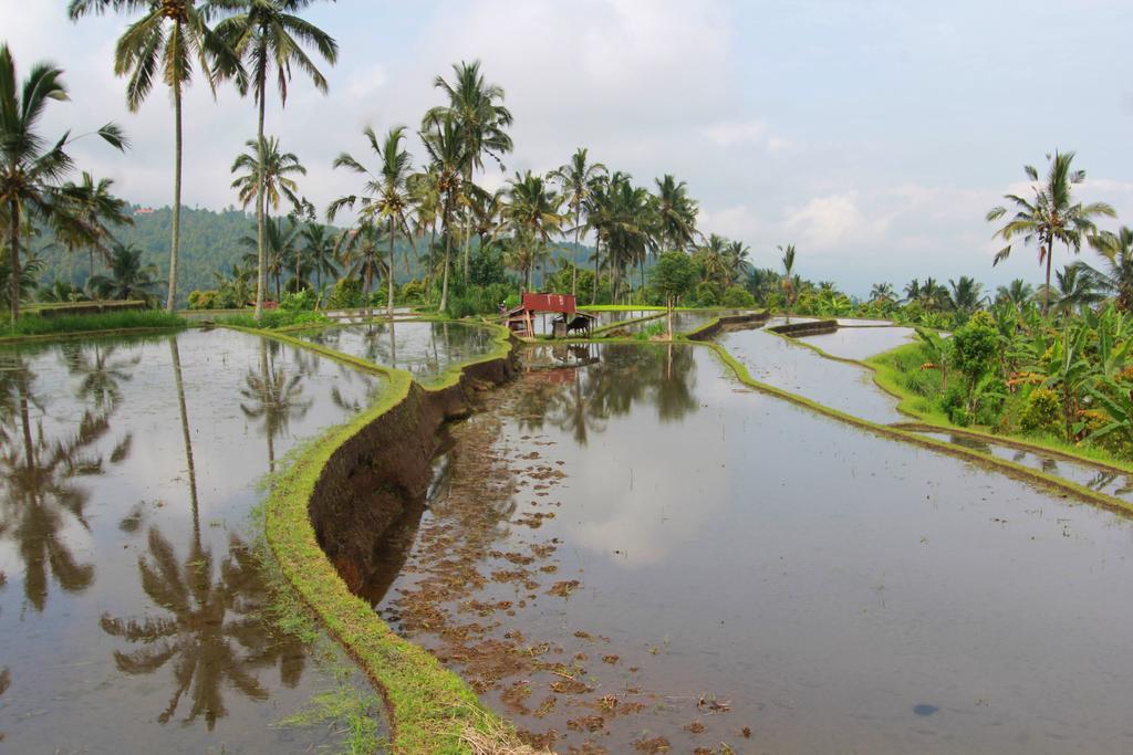 Melanting Cottages Munduk  Ngoại thất bức ảnh